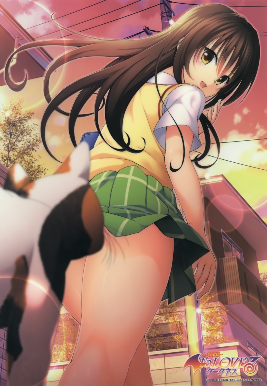 Yabuki Kentarou To Love Ru To Love Ru Darkness Kotegawa Yui Neko